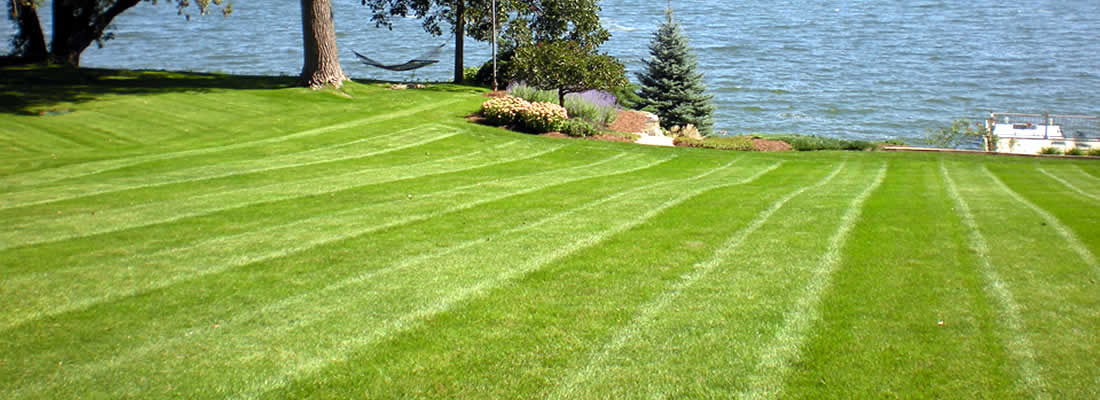 Lawn Fertilization and Weed Control Services Wisconsin