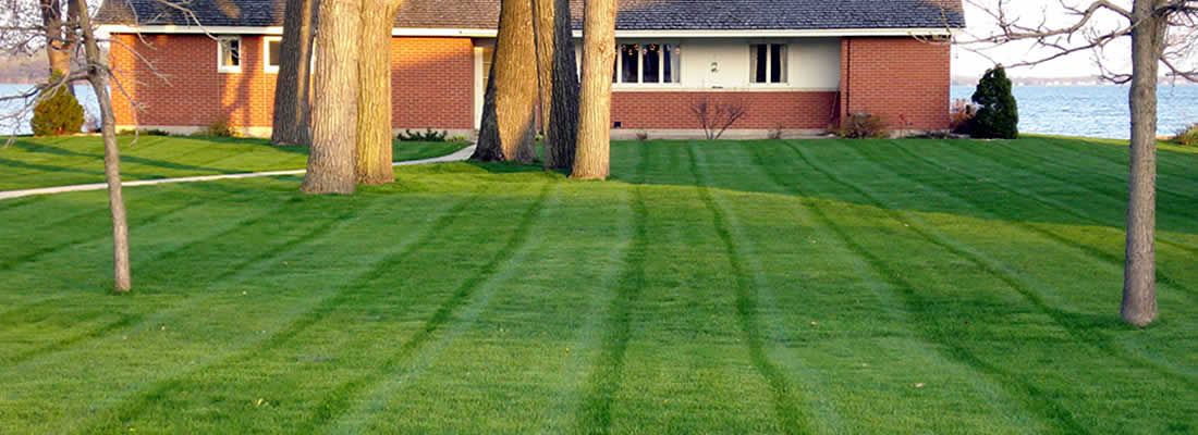 Landscaping Services near me in Wisconsin